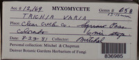 Image Associated With the Occurence